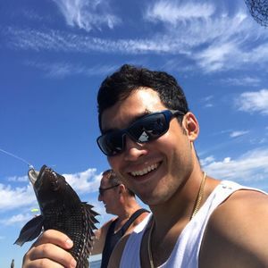 Meet your Posher, Frankie